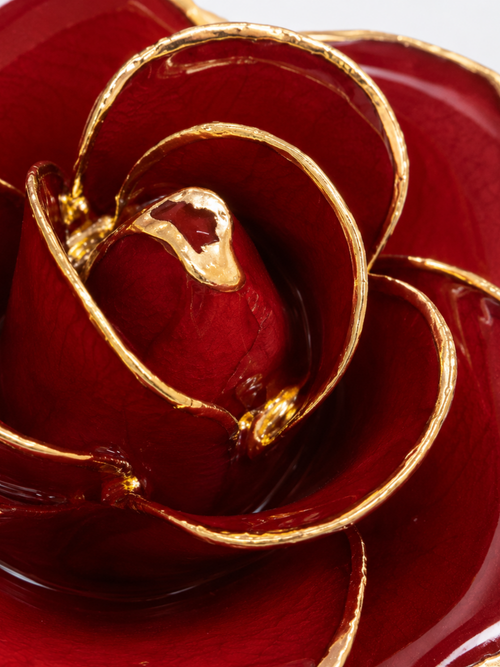 Classic Red