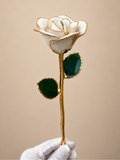 Elegant White